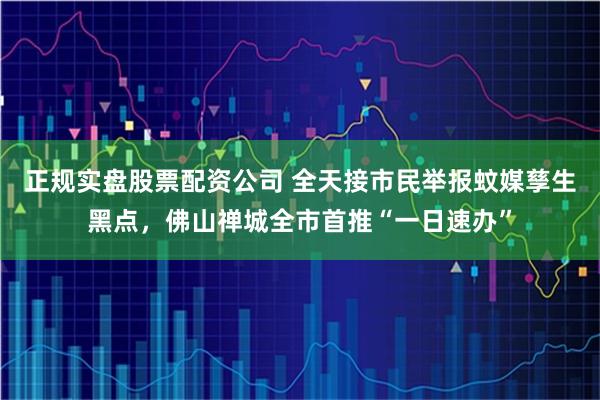 正规实盘股票配资公司 全天接市民举报蚊媒孳生黑点，佛山禅城全市首推“一日速办”